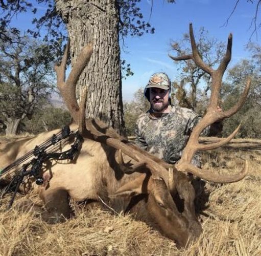 IMG_2066.jpeg IMG_2066.jpeg