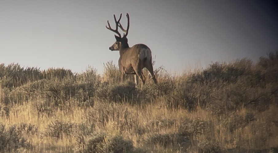 IMG_7068.jpeg IMG_7068.jpeg