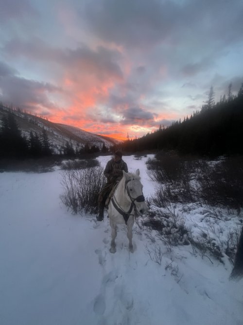 IMG_5624.jpeg IMG_5624.jpeg