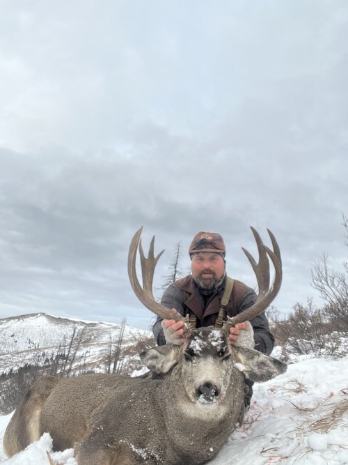 IMG_5504.jpeg IMG_5504.jpeg