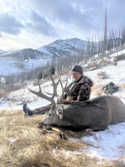 IMG_5665.jpeg IMG_5665.jpeg