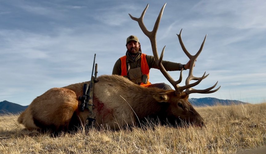 Elk 2025.jpg