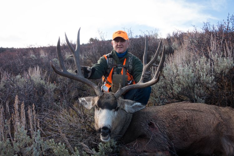 dsc09468.jpeg dsc09468.jpeg