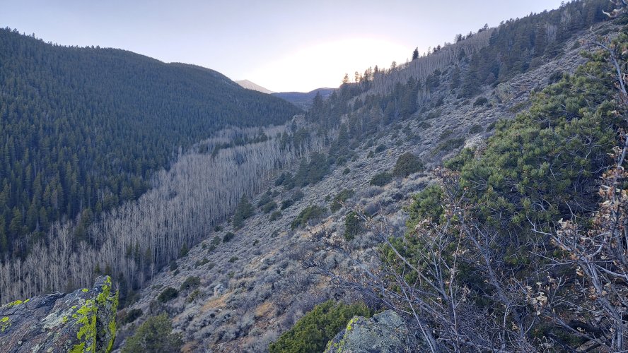 1000010535.jpg 1000010535.jpg