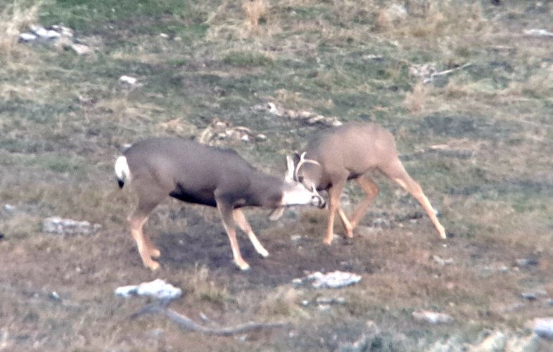 1000010537.jpg 1000010537.jpg