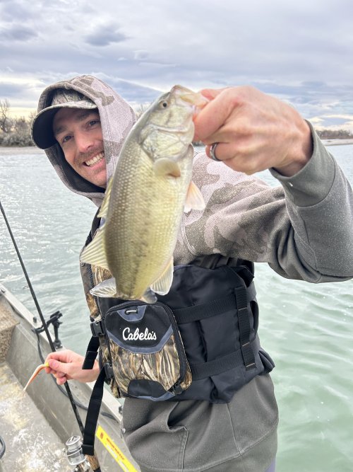 IMG_8370.jpeg IMG_8370.jpeg