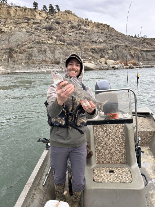 IMG_8372.jpeg IMG_8372.jpeg