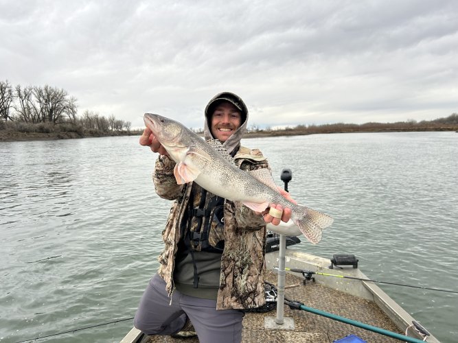 IMG_8381.jpeg IMG_8381.jpeg