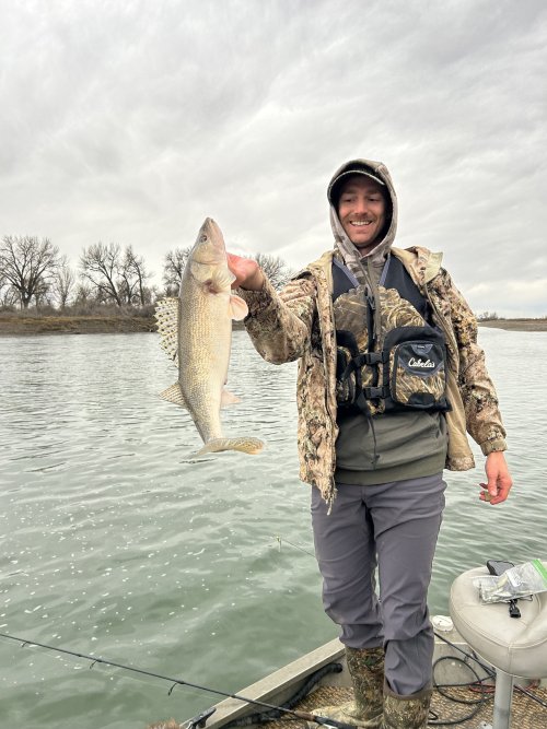 IMG_8382.jpeg IMG_8382.jpeg