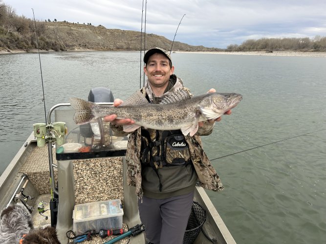 IMG_8390.jpeg IMG_8390.jpeg