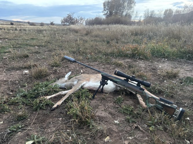 James WyDeerd 11.2025.jpg James WyDeerd 11.2025.jpg