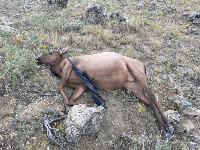 James WyCow 9.2023.jpg James WyCow 9.2023.jpg