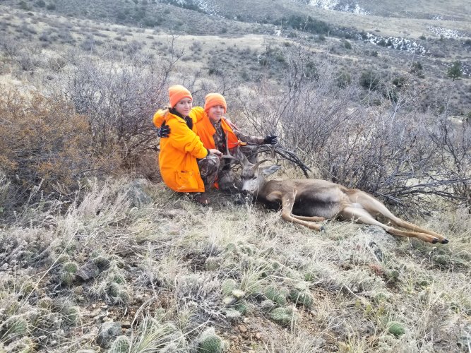 20181115_072547.jpg 20181115_072547.jpg