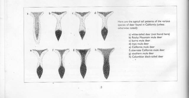 IMG_9699.jpeg IMG_9699.jpeg