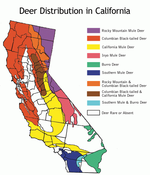 D0359EB0-ACA8-4BC8-8852-4F8289CB4DCB-19358-000014BCA0A917B4.gif D0359EB0-ACA8-4BC8-8852-4F8289CB4DCB-19358-000014BCA0A917B4.gif