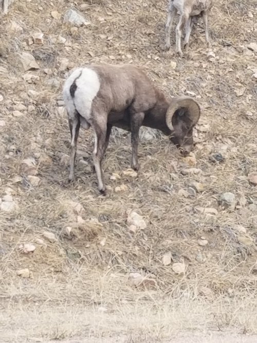 20201118_083413.jpg