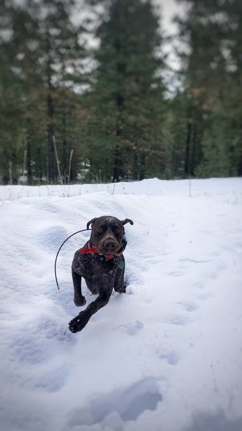 25f071db-d6f0-4857-9934-a67cc454a0c6.jpeg 25f071db-d6f0-4857-9934-a67cc454a0c6.jpeg