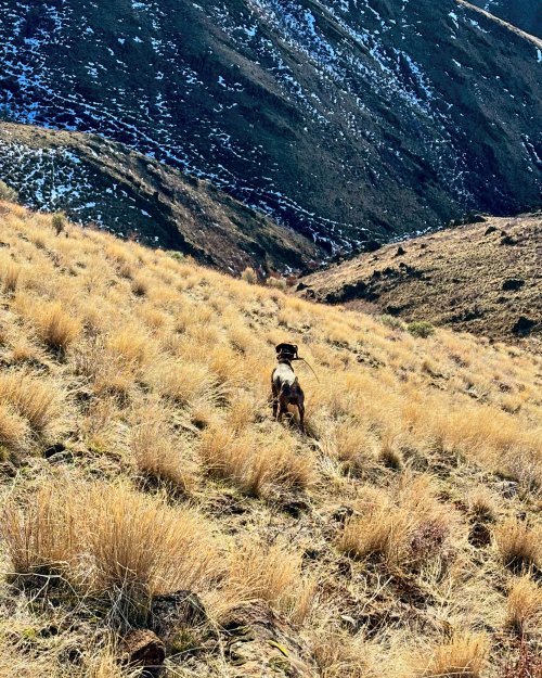 6D5A3748-BF90-4831-86D9-05FB051B56F7.jpeg 6D5A3748-BF90-4831-86D9-05FB051B56F7.jpeg