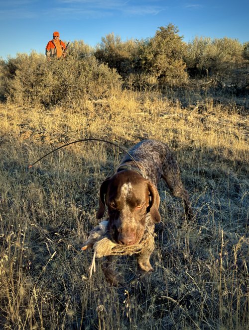 IMG_7324.jpeg IMG_7324.jpeg