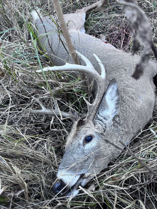 IMG_2075.jpeg IMG_2075.jpeg