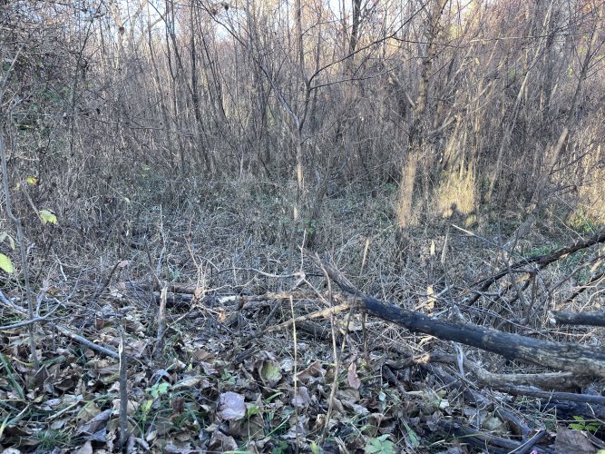 IMG_2074.jpeg IMG_2074.jpeg