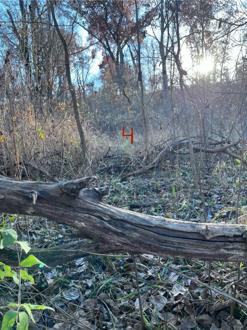 IMG_2072.jpeg IMG_2072.jpeg