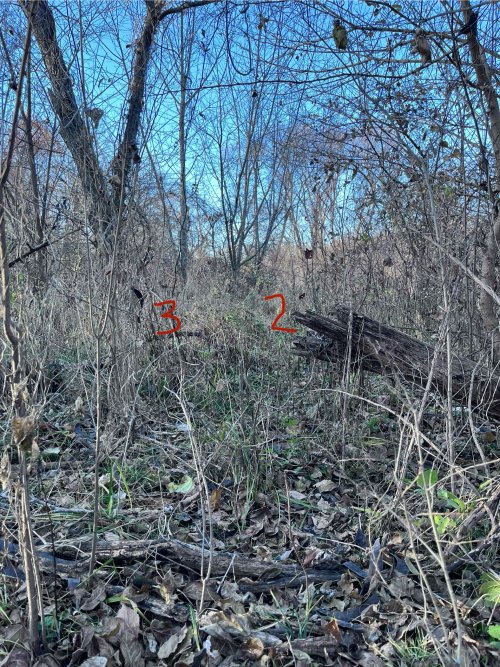 IMG_2070.jpeg IMG_2070.jpeg