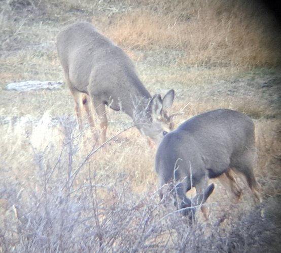 1000010554.jpg 1000010554.jpg