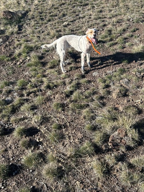 IMG_4284.jpeg IMG_4284.jpeg