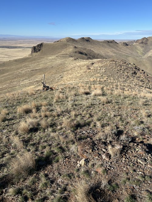 IMG_4294.jpeg IMG_4294.jpeg