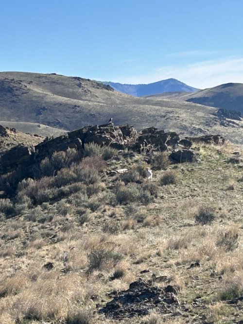 IMG_4295.jpeg IMG_4295.jpeg