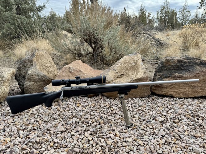 1763325992621.jpeg 1763325992621.jpeg