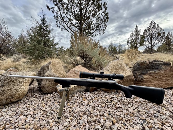 1763326155328.jpeg 1763326155328.jpeg