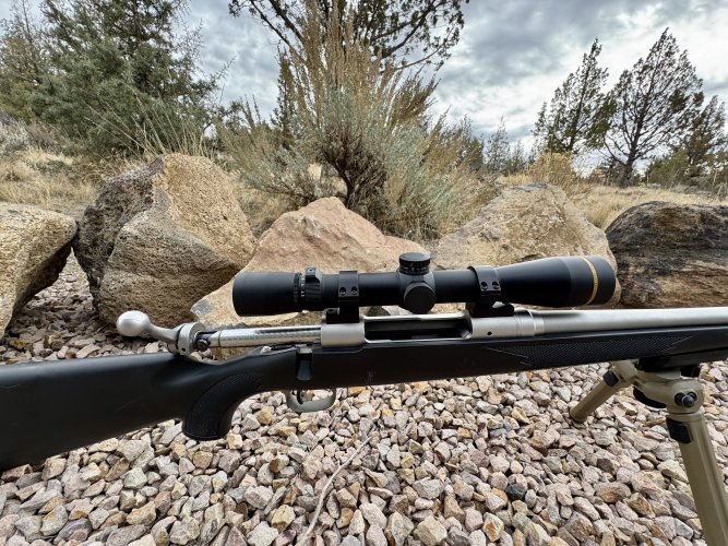 1763326247492.jpeg 1763326247492.jpeg