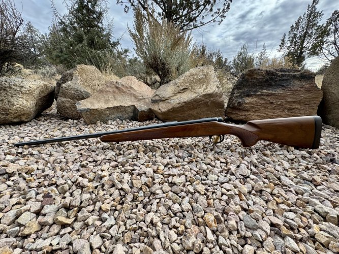 1763329903363.jpeg 1763329903363.jpeg