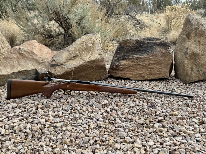 1763330023496.jpeg 1763330023496.jpeg