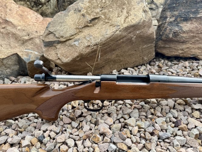 1763330116628.jpeg 1763330116628.jpeg