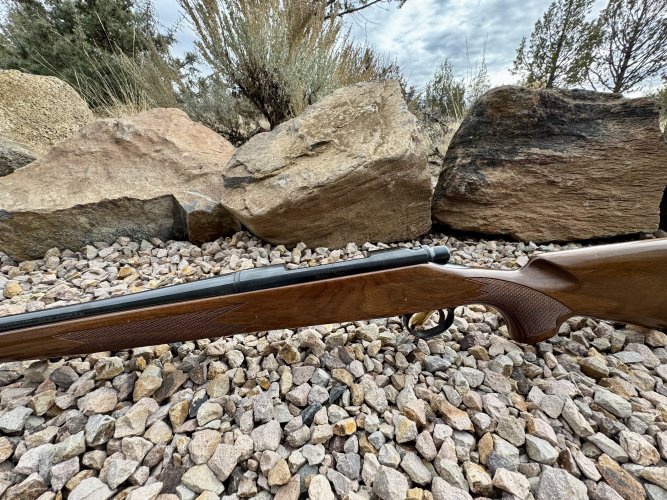 1763330162982.jpeg 1763330162982.jpeg