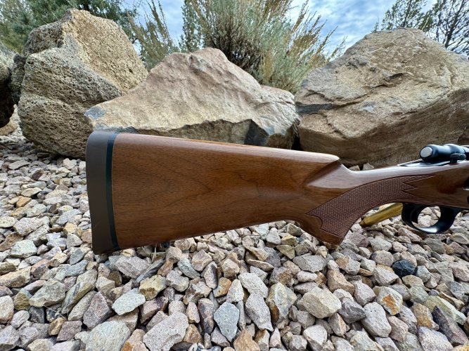 1763330201169.jpeg 1763330201169.jpeg