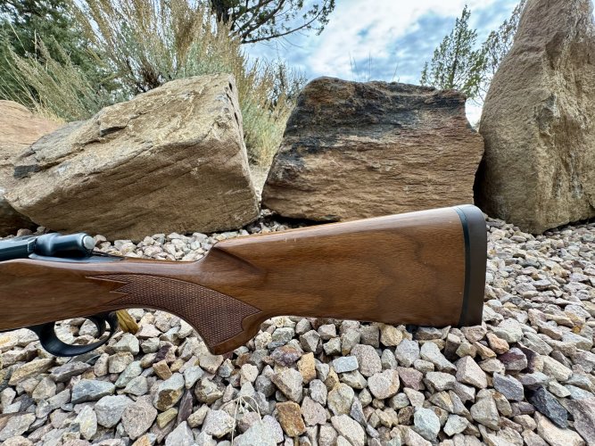 1763330497893.jpeg 1763330497893.jpeg