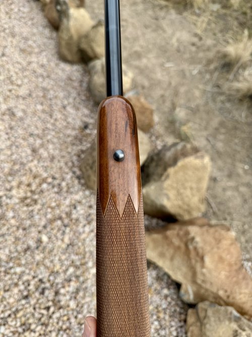 1763330523290.jpeg 1763330523290.jpeg