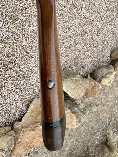 1763330543952.jpeg 1763330543952.jpeg