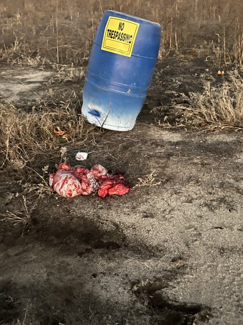 IMG_4700.jpeg IMG_4700.jpeg