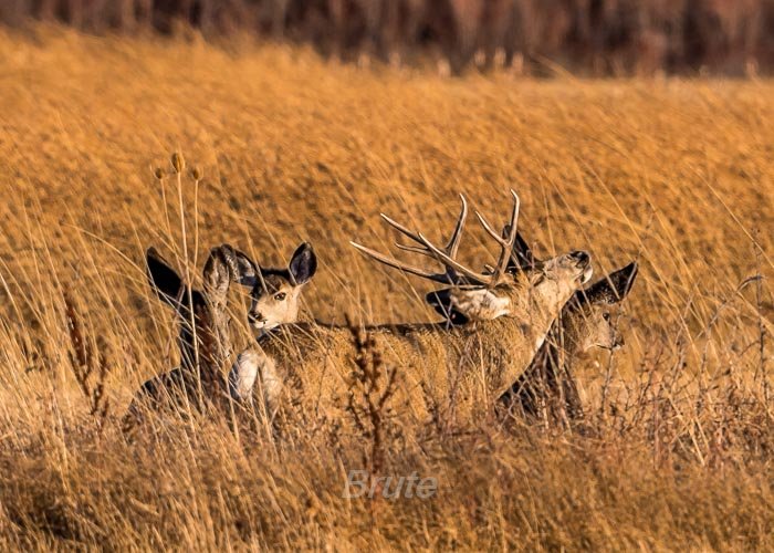 November 2025 a-6538.jpg