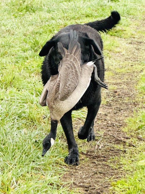IMG_7587.jpeg