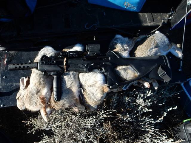 DSCN2333 - Copy.jpeg