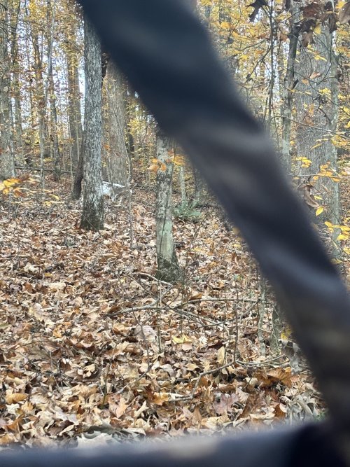 IMG_4159.jpeg