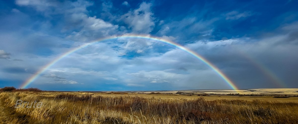 November 2025 a1-143350.jpg