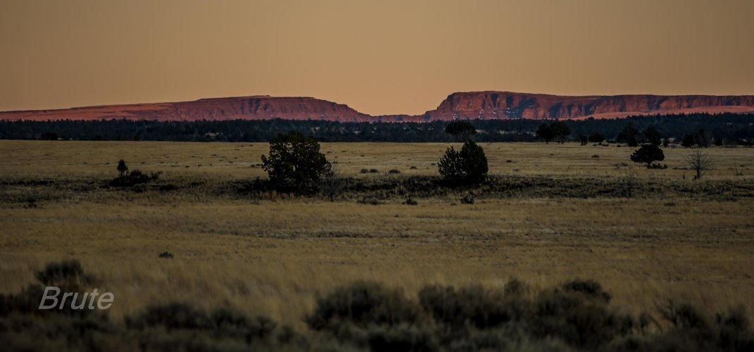 November 2025 a1-6561.jpg