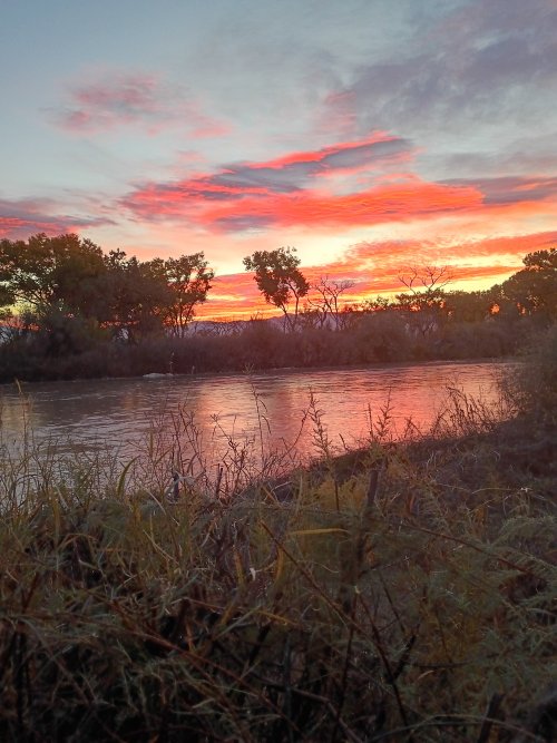 IMG_20251113_062749829_HDR.jpg
